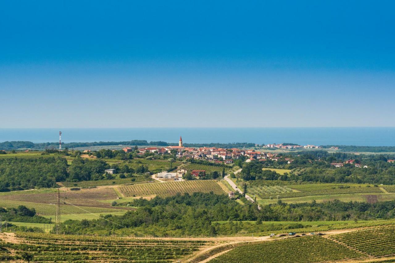 Damjanic Holiday House Brtonigla Exterior foto